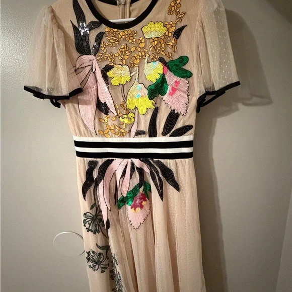 Floral Embroidered Dress with Sheer Sleeves - Picture 1 of 1